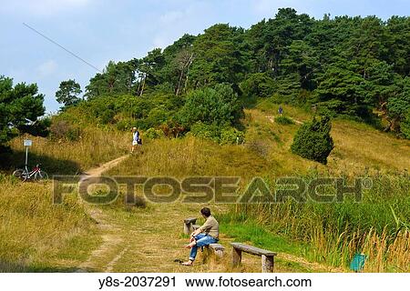 Weisser Berg hiking track at Luetow, Usedom Island, Germany. View Large Photo Image Stock Image - Weisser Berg hiking track at Luetow, Usedom Island, Germany.. Fotosearch