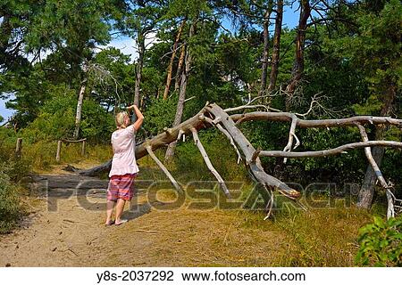 Weisser Berg hiking track at Luetow, Usedom Island, Germany. View Large Photo Image Stock Image - Weisser Berg hiking track at Luetow, Usedom Island, Germany.. Fotosearch