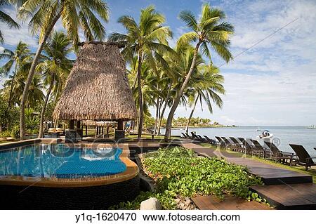 Westin Denarau Resort & Spa, Viti Levu, Fiji, Melanesia, South Pacific View Large Photo Image Stock Image - Westin Denarau Resort & Spa, Viti Levu, Fiji, Melanesia, South Pacific. Fotosearch