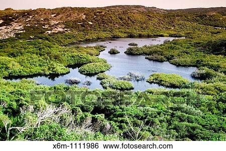 wetland in Favaritx Cape S? Albufera des Grau Natural Park Minorca, Balearic Islands, Spain, Europe View Large Photo Image Stock Photograph - wetland in Favaritx Cape S? Albufera des Grau Natural Park Minorca, Balearic Islands, Spain, Europe. Fotosearch