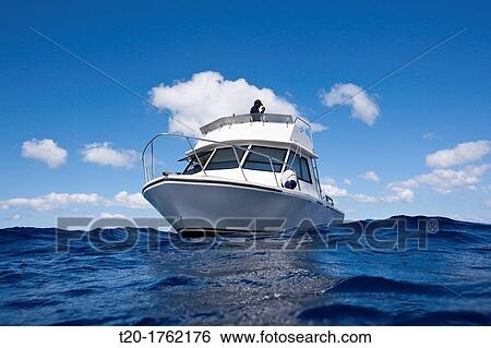 Whale watching Trip, Caribbean Sea, Dominica View Large Photo Image Stock Photograph - Whale watching Trip, Caribbean Sea, Dominica. Fotosearch