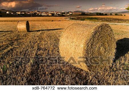 Stock Image - wheat field and bales Abarzuza, Tierra Estella county, Navarra, Spain, Europe. Fotosearch