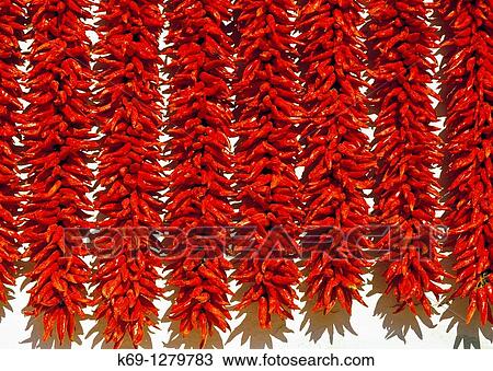 Wheat FieldDrying Peppers Navarra Spain. View Large Photo Image Stock Image - Wheat FieldDrying Peppers Navarra Spain.. Fotosearch