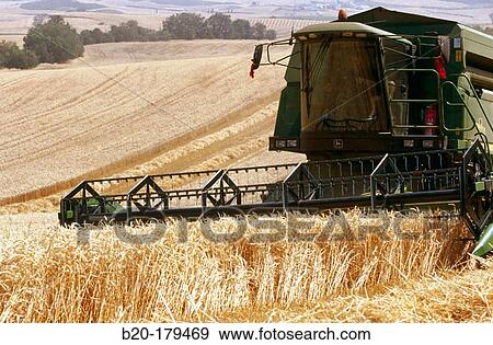 Wheat harvesting. Navarre. Spain View Large Photo Image Stock Photo - Wheat harvesting. Navarre. Spain. Fotosearch