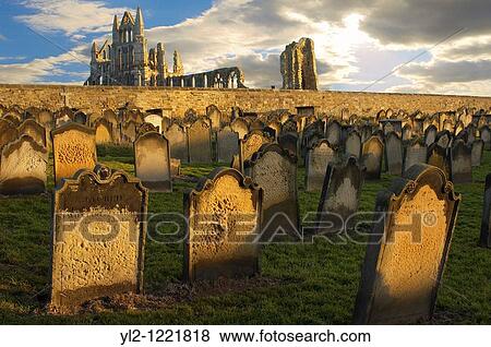 Whitby Abbey with grave stones at sunset, North Yorkshire Moors National Park, England View Large Photo Image Stock Photo - Whitby Abbey with grave stones at sunset, North Yorkshire Moors National Park, England. Fotosearch