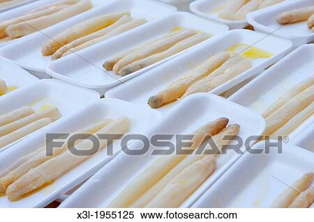 Stock Photography - White asparaguas. Navarre. Spain. Fotosearch