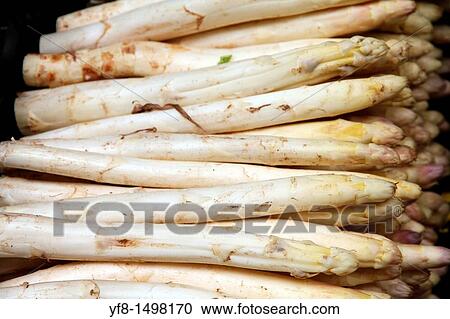Stock Image - White asparagus. Fotosearch
