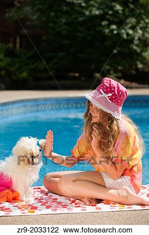 White dog gives a high five to a preteen girl sitting in front of a swimming pool. View Large Photo Image Stock Image - White dog gives a high five to a preteen girl sitting in front of a swimming pool.. Fotosearch