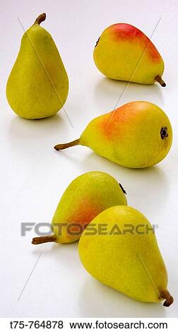 White pears View Large Photo Image Stock Photo - White pears. Fotosearch