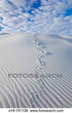 White Sands National Monument, New Mexico, USA. White gypsum sand dunes & footprints View Large Photo Image Stock Photo - White Sands National Monument, New Mexico, USA. White gypsum sand dunes & footprints. Fotosearch
