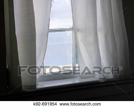 White sheer curtains on a paned window. Photo was taken on the Eastern Shore of Maryland, USA View Large Photo Image Picture - White sheer curtains on a paned window. Photo was taken on the Eastern Shore of Maryland, USA. Fotosearch