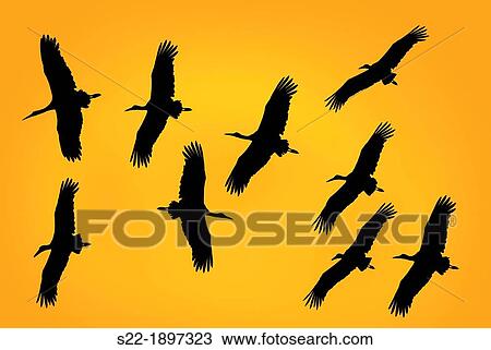 White Storck, Cig? ea Blanca, Ciconia ciconia. View Large Photo Image Stock Image - White Storck, Cig? ea Blanca, Ciconia ciconia.. Fotosearch