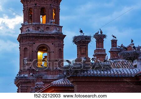 White stork colony, Alfaro, La Rioja, Spain, Europe. View Large Photo Image Stock Image - White stork colony, Alfaro, La Rioja, Spain, Europe.. Fotosearch