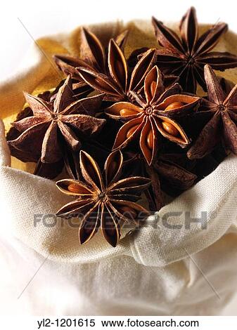 Whole Star Anise View Large Photo Image Stock Photography - Whole Star Anise. Fotosearch