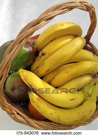 Wicker basket with bananas and mangoes View Large Photo Image Stock Photograph - Wicker basket with bananas and mangoes. Fotosearch