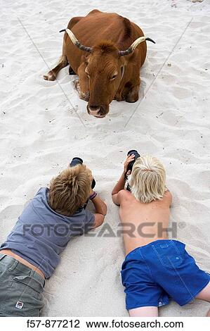 Widlife photographers! View Large Photo Image Stock Image - Widlife photographers!. Fotosearch