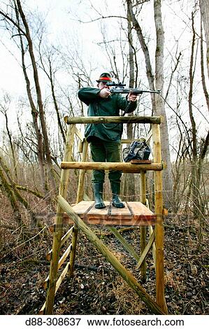 Wild boar hunting View Large Photo Image Stock Photo - Wild boar hunting. Fotosearch