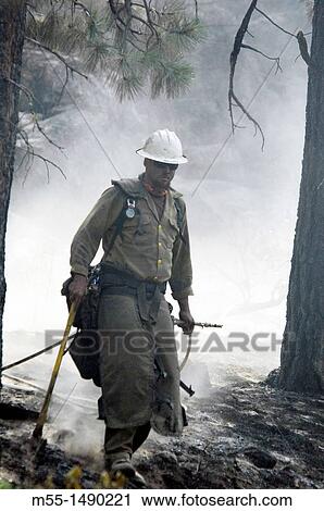 Wildland fire fighter, smoky fir View Large Photo Image Stock Image - Wildland fire fighter, smoky fir. Fotosearch