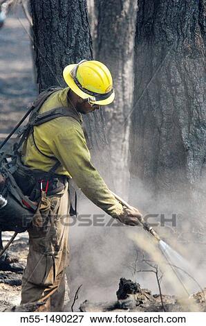Wildland fire fighter with hose View Large Photo Image Stock Photo - Wildland fire fighter with hose. Fotosearch