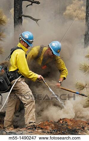 Wildland fire fighters- mop up View Large Photo Image Stock Photo - Wildland fire fighters- mop up. Fotosearch