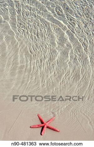 Wildlife View Large Photo Image Stock Image - Wildlife. Fotosearch
