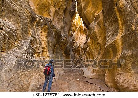 Willis Creek slot Canyon in the Grand Staircase Escalante National Monument in Southern Utah View Large Photo Image Stock Image - Willis Creek slot Canyon in the Grand Staircase Escalante National Monument in Southern Utah. Fotosearch