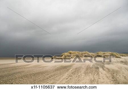 Wind blowing sand, Ynyslas Nature Reserve, Borth, Ceredigion, Wales, UK View Large Photo Image Stock Photo - Wind blowing sand, Ynyslas Nature Reserve, Borth, Ceredigion, Wales, UK. Fotosearch