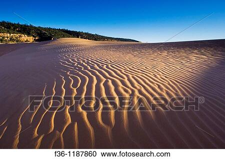 Wind patterns in sand at sunset, Coral Pink Sand Dunes State Park, near Kanab, Kane County, Southern Utah View Large Photo Image Stock Image - Wind patterns in sand at sunset, Coral Pink Sand Dunes State Park, near Kanab, Kane County, Southern Utah. Fotosearch
