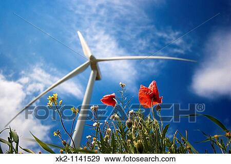 Wind turbine and poppies View Large Photo Image Stock Photo - Wind turbine and poppies. Fotosearch