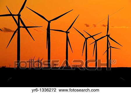 Wind turbines generating electrical power at Horse Hollow Wind Farm, Nolan county, Texas the world's largest wind power project during sunset View Large Photo Image Stock Image - Wind turbines generating electrical power at Horse Hollow Wind Farm, Nolan county, Texas the world's largest wind power project during sunset. Fotosearch