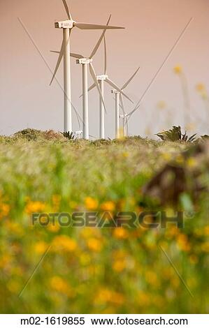 Stock Photography - Windmills in Lanzarote, Canary Islands, Spain. Fotosearch