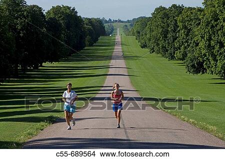 Picture - Windsor, Windsor Great Park, Berkshire, UK. Fotosearch