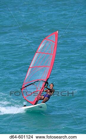 Windsurfing. Hawaii. USA View Large Photo Image Picture - Windsurfing. Hawaii. USA. Fotosearch