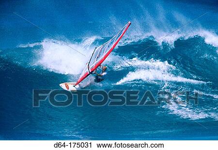 Windsurfing. Maui. Hawaii View Large Photo Image Stock Image - Windsurfing. Maui. Hawaii. Fotosearch