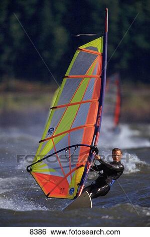 Stock Photograph - Windsurfing. Fotosearch