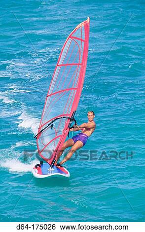 Windsurfing View Large Photo Image Stock Photograph - Windsurfing. Fotosearch