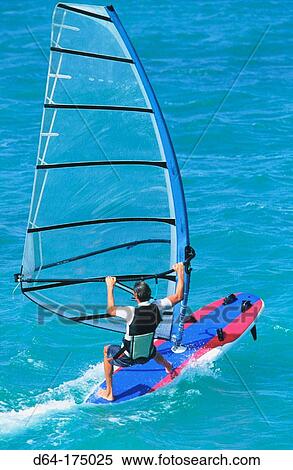 Windsurfing View Large Photo Image Stock Photography - Windsurfing. Fotosearch