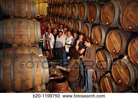 Wine cask aging, Muga winery, Haro, La Rioja, Spain View Large Photo Image Stock Image - Wine cask aging, Muga winery, Haro, La Rioja, Spain. Fotosearch