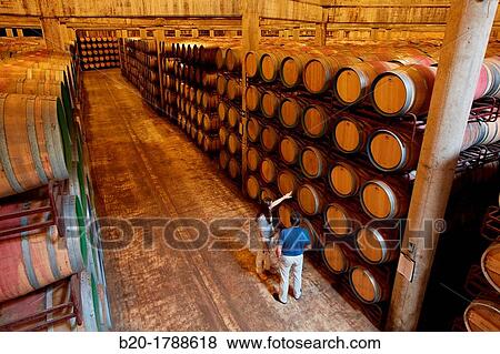 Wine cellar, Aging wine storage in barrels, Olarra winery, Rioja, Logroo, Spain View Large Photo Image Stock Photo - Wine cellar, Aging wine storage in barrels, Olarra winery, Rioja, Logroo, Spain. Fotosearch