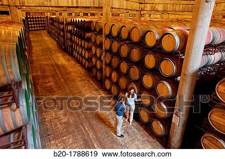 Wine cellar, Aging wine storage in barrels, Olarra winery, Rioja, Logroo, Spain View Large Photo Image Stock Photo - Wine cellar, Aging wine storage in barrels, Olarra winery, Rioja, Logroo, Spain. Fotosearch