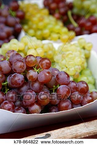 Wine Grapes, Alsace, France View Large Photo Image Stock Image - Wine Grapes, Alsace, France. Fotosearch