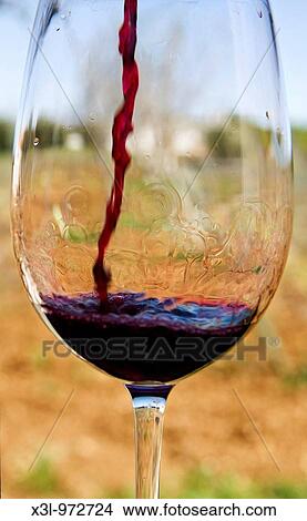 Wine View Large Photo Image Picture - Wine. Fotosearch