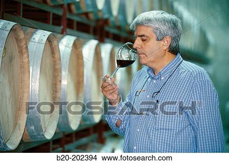Wine taster at cellar.? lava, Rioja alavesa. Spain View Large Photo Image Picture - Wine taster at cellar.? lava, Rioja alavesa. Spain. Fotosearch