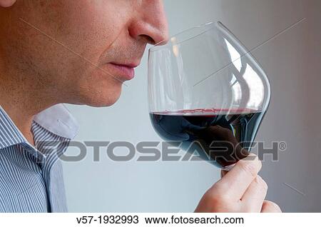 Stock Image - Wine taster smelling red wine. Close view.. Fotosearch