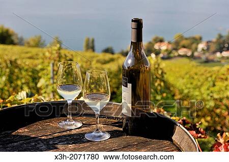 wine tasting at Daley Estate in the Vineyard terraces of Lavaux on the bank of Leman Lake, around Lausanne, Canton of Vaud, Switzerland, Europe. View Large Photo Image Stock Image - wine tasting at Daley Estate in the Vineyard terraces of Lavaux on the bank of Leman Lake, around Lausanne, Canton of Vaud, Switzerland, Europe.. Fotosearch