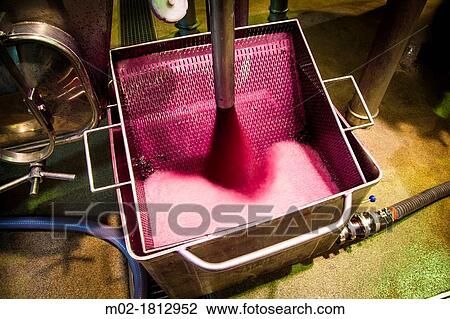 Stock Image - Winemaking in the largest wine region of Catalonia, the Penedes Barcelona, Spain. Fotosearch