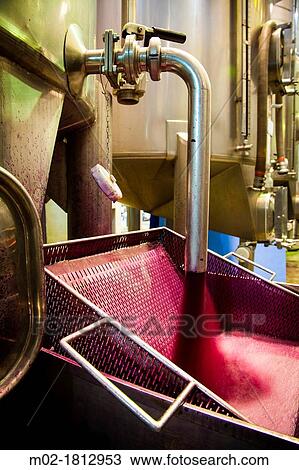 Winemaking in the largest wine region of Catalonia, the Penedes Barcelona, Spain View Large Photo Image Stock Image - Winemaking in the largest wine region of Catalonia, the Penedes Barcelona, Spain. Fotosearch