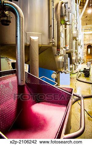 Stock Image - Winemaking in the largest wine region of Catalonia, the Penedes. Barcelona, Spain.. Fotosearch