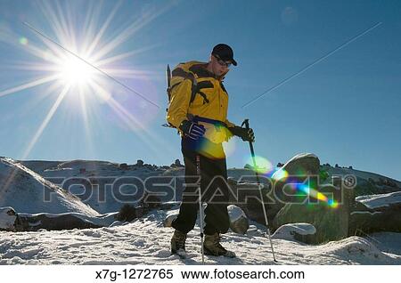 Winter hiker with walking poles - Canterbury high country, New Zealand View Large Photo Image Stock Photography - Winter hiker with walking poles - Canterbury high country, New Zealand. Fotosearch