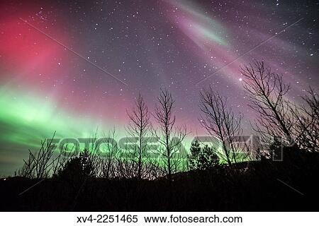 Winter Icelandic landscape with Northern lights background. Laugarvatn. Golden Circle. Iceland. View Large Photo Image Stock Photography - Winter Icelandic landscape with Northern lights background. Laugarvatn. Golden Circle. Iceland.. Fotosearch